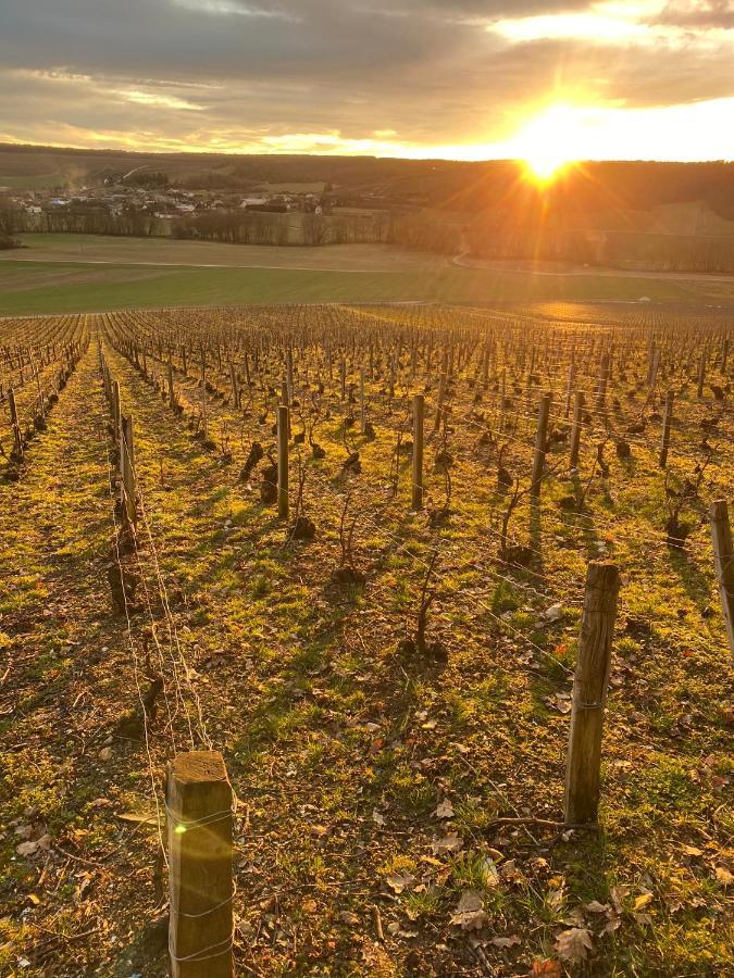 Вілла Nuit'S Feerique En Champagne Meurville Екстер'єр фото