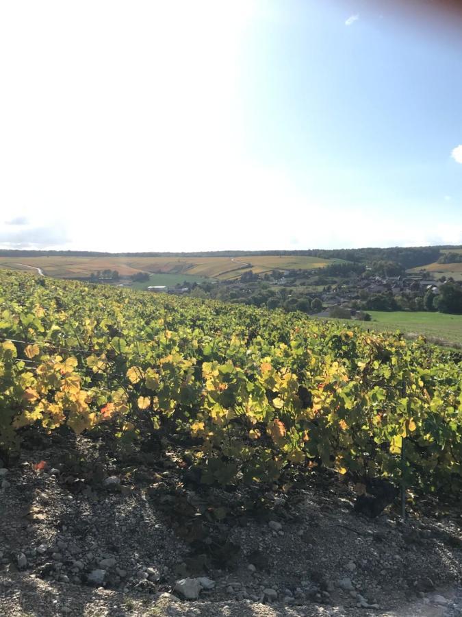 Вілла Nuit'S Feerique En Champagne Meurville Екстер'єр фото